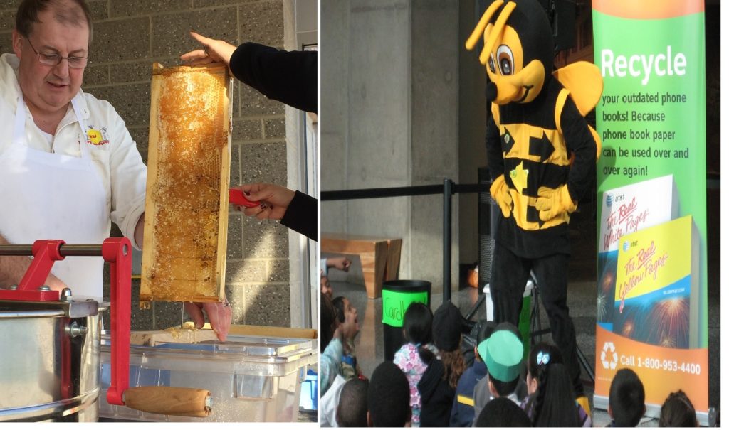 1 scraping honeycombs to release honey merge