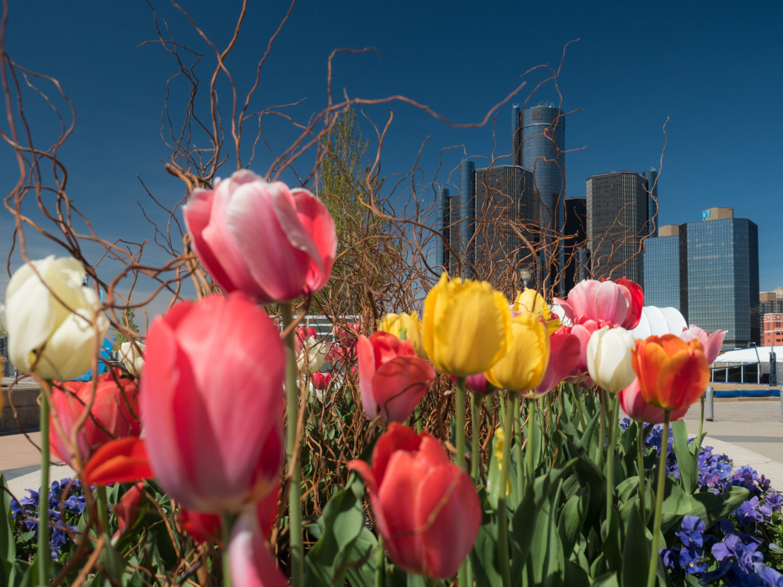 Spring into Detroit’s Beauty | Spring into Detroit's Beauty - GMRENCEN